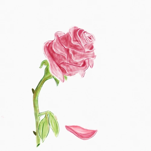 프로필 이미지