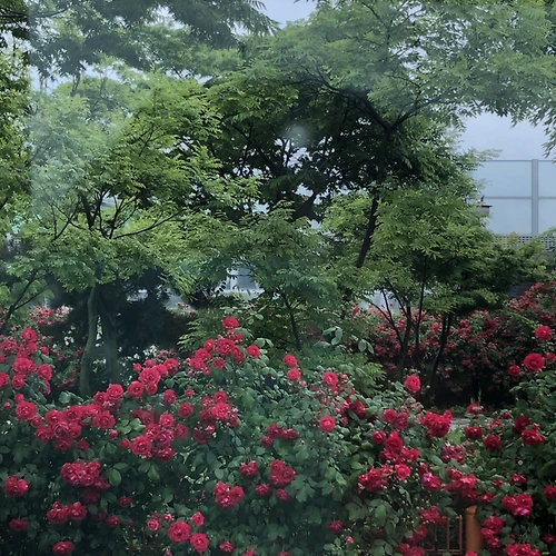 프로필 이미지