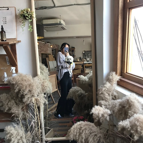 프로필
