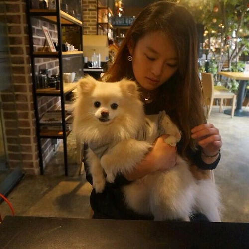 프로필 이미지