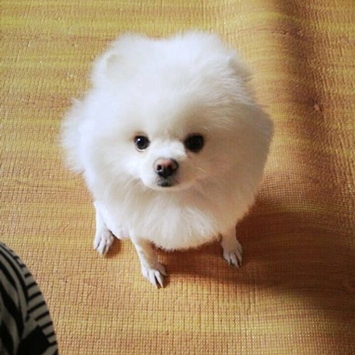 프로필