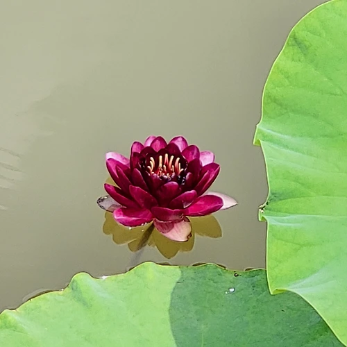 프로필 이미지