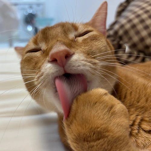 프로필 이미지