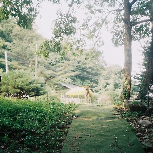 프로필 이미지