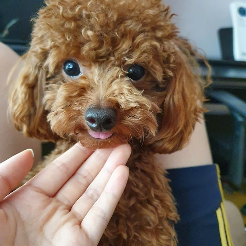 프로필 이미지