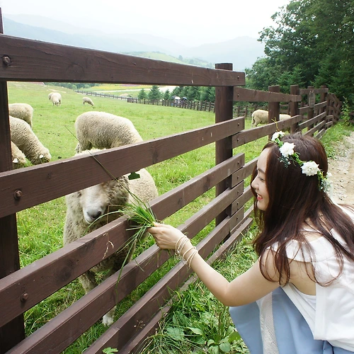 프로필 이미지