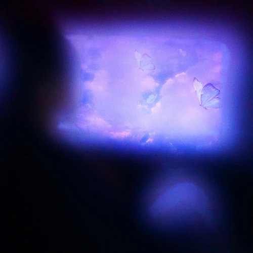 프로필 이미지