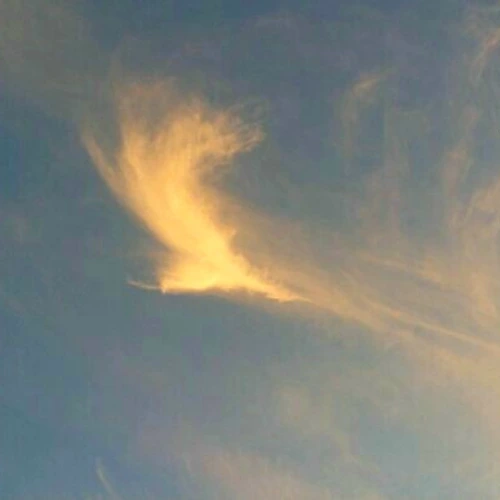 프로필