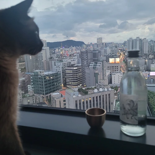 프로필 이미지