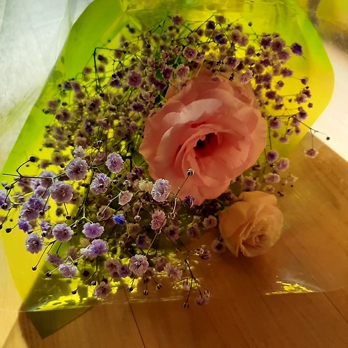 프로필 이미지