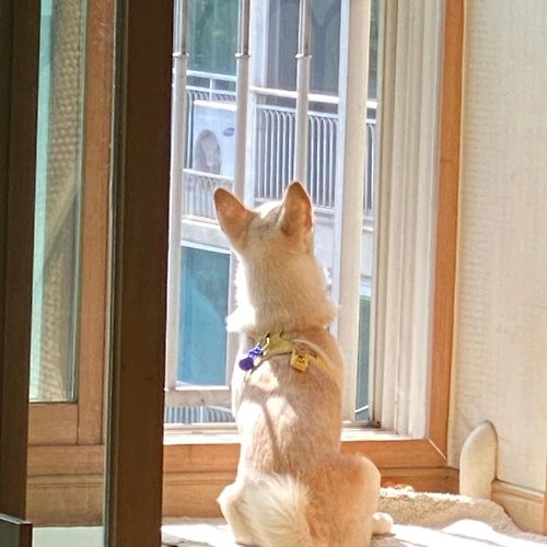 프로필 이미지