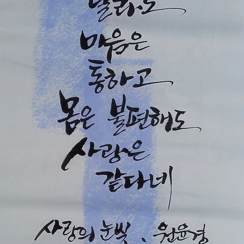 프로필