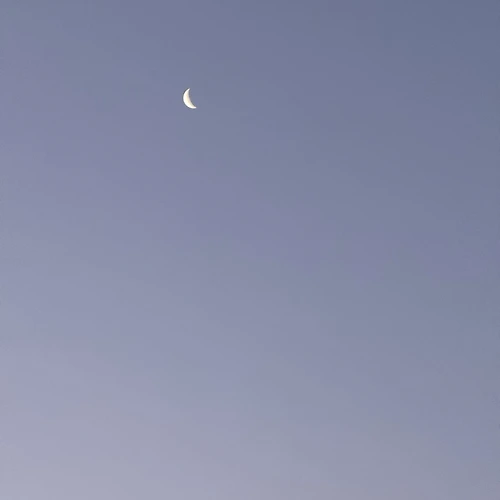 프로필