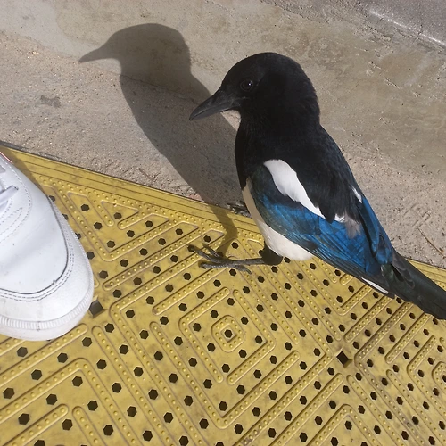 프로필 이미지