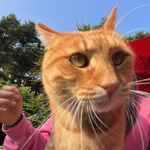 프로필 이미지