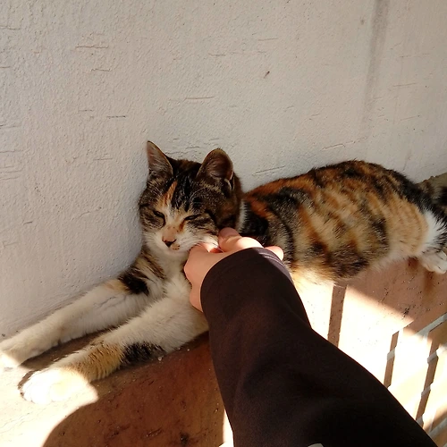프로필 이미지