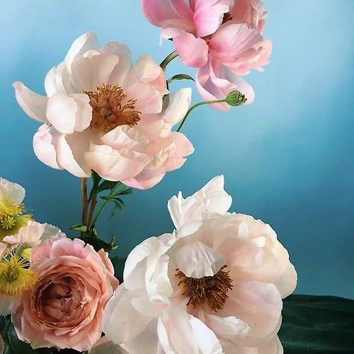 프로필