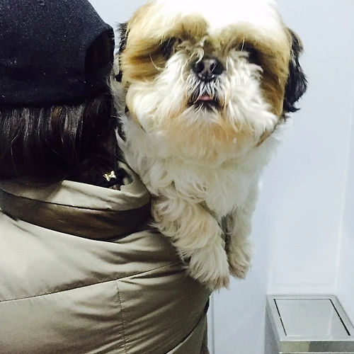 프로필 이미지