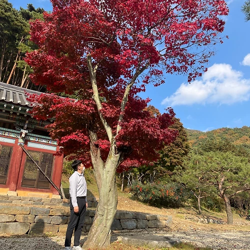프로필 이미지