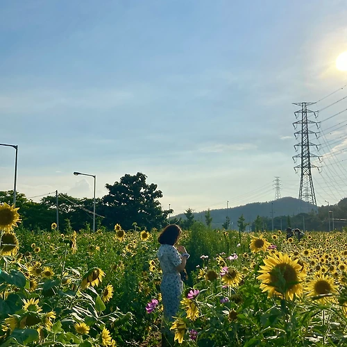 프로필 이미지