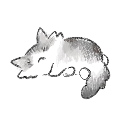 프로필 이미지