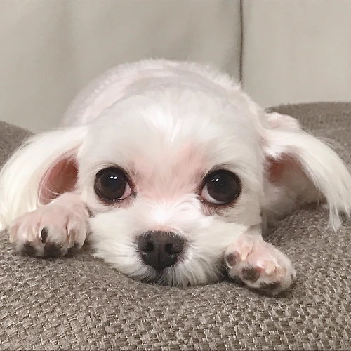 프로필 이미지