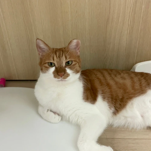 프로필 이미지