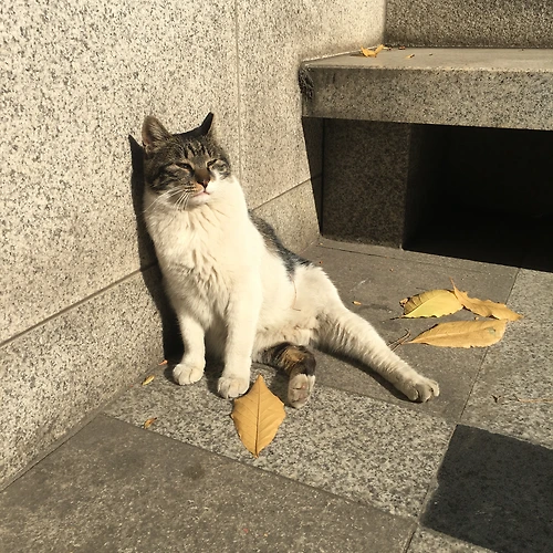 프로필 이미지