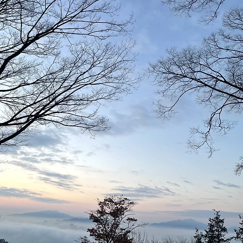 프로필