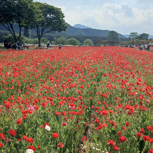 프로필