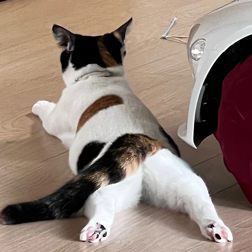 프로필 이미지