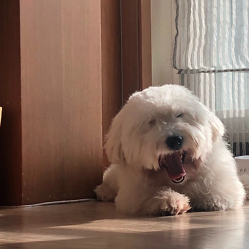 프로필 이미지