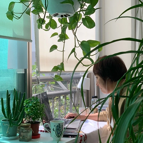 프로필 이미지