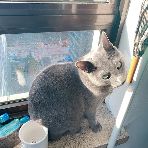 프로필 이미지