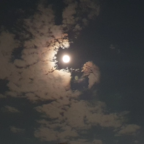프로필 이미지