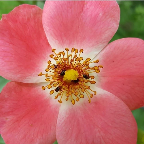 프로필