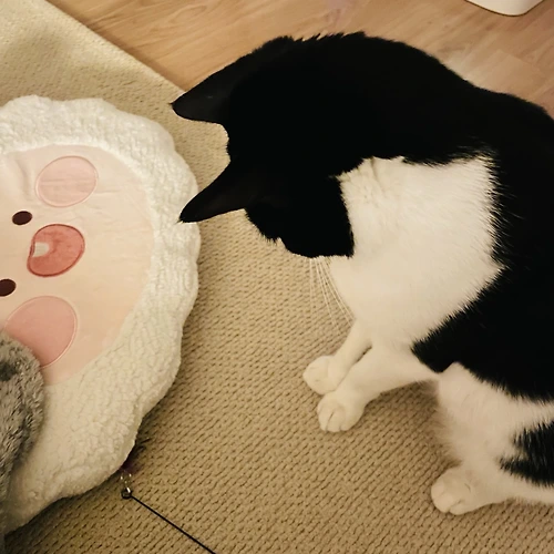 프로필 이미지