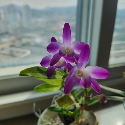 프로필 이미지