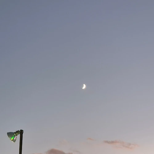 프로필