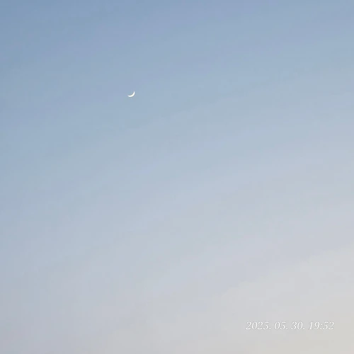 프로필