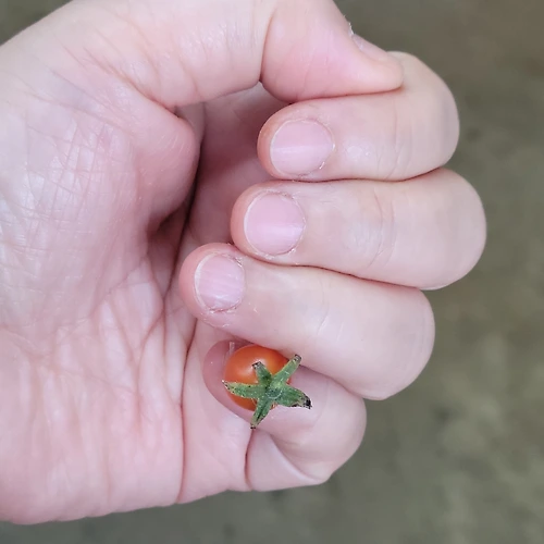 프로필 이미지