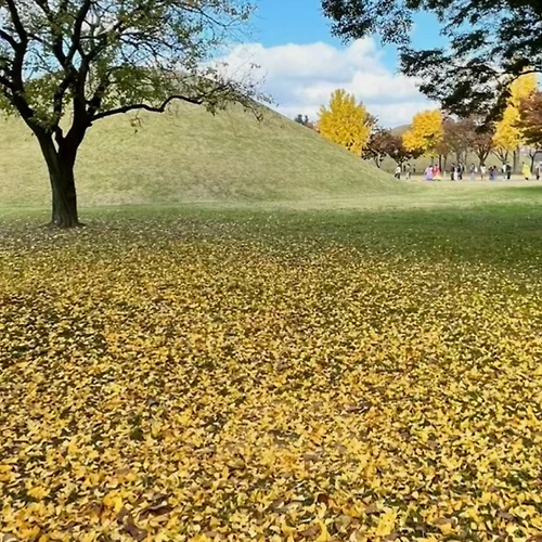 프로필