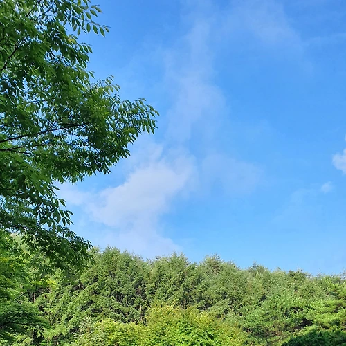 프로필 이미지