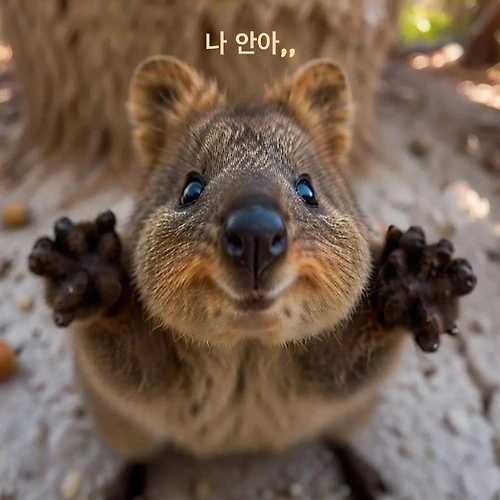 프로필 이미지