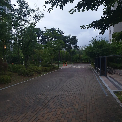 프로필