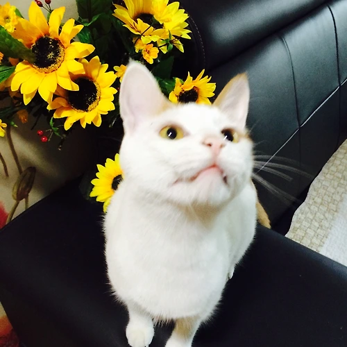프로필 이미지