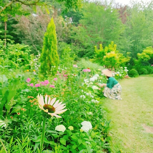 프로필 이미지