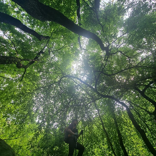 프로필
