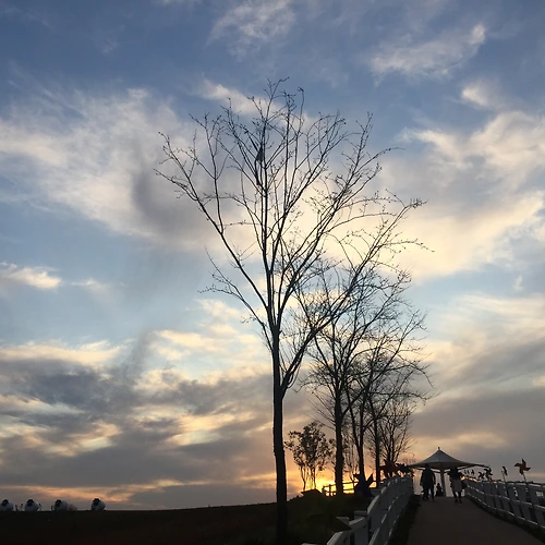 프로필 이미지