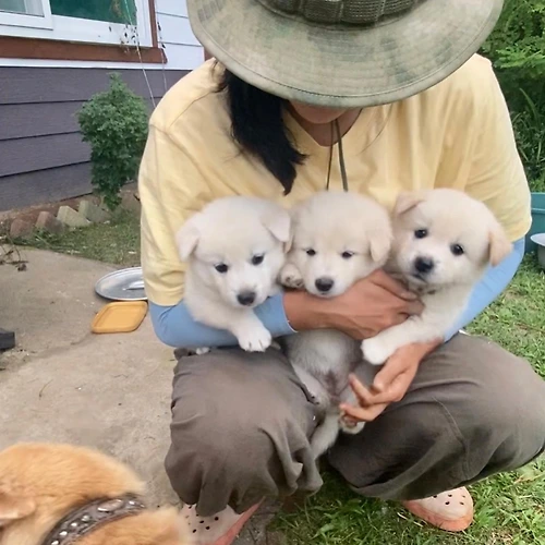 프로필 이미지